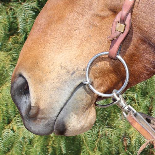 BRITTANY POZZI - O-RING TWISTED WIRE SNAFFLE
