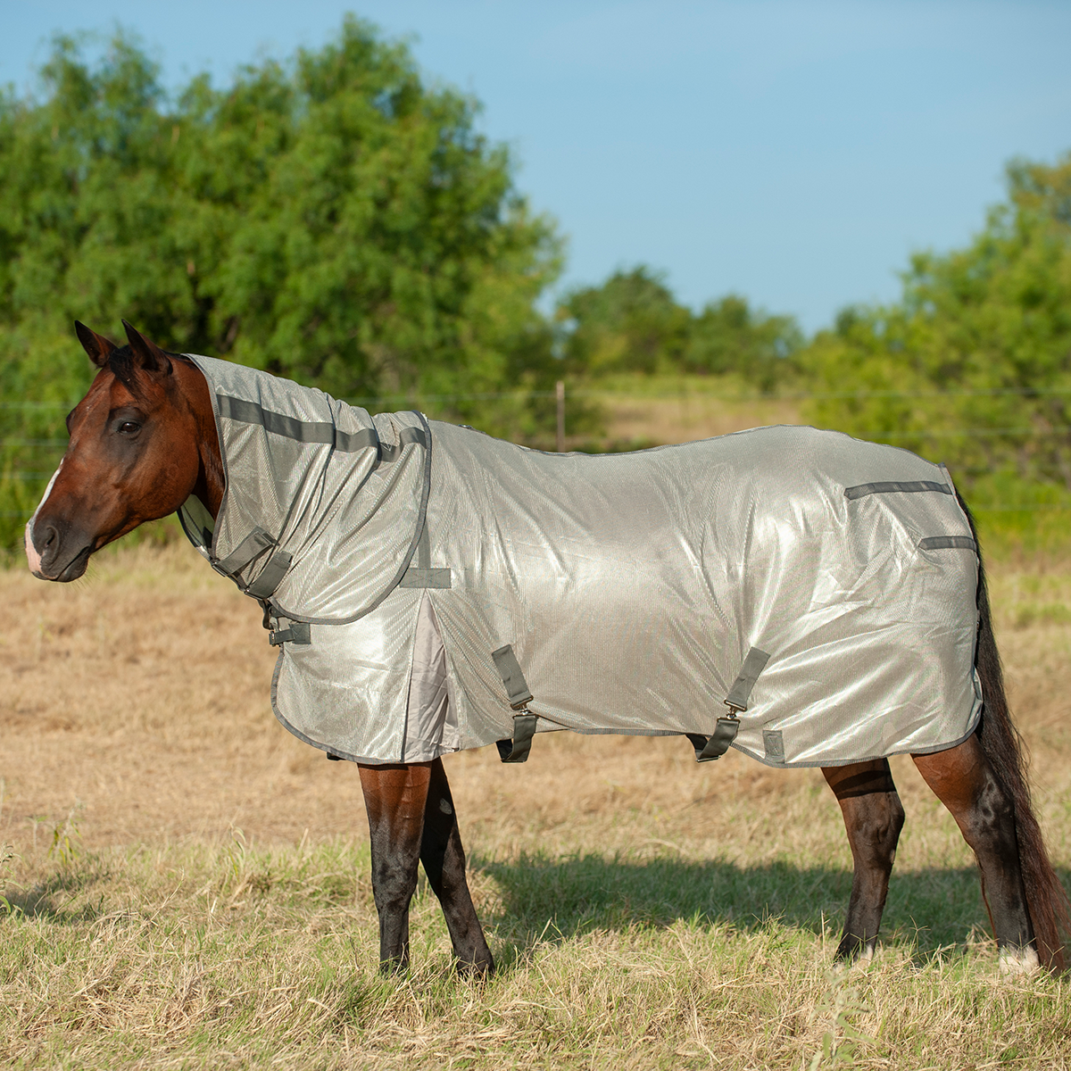 CASHEL FLY SHEET W/ NECK