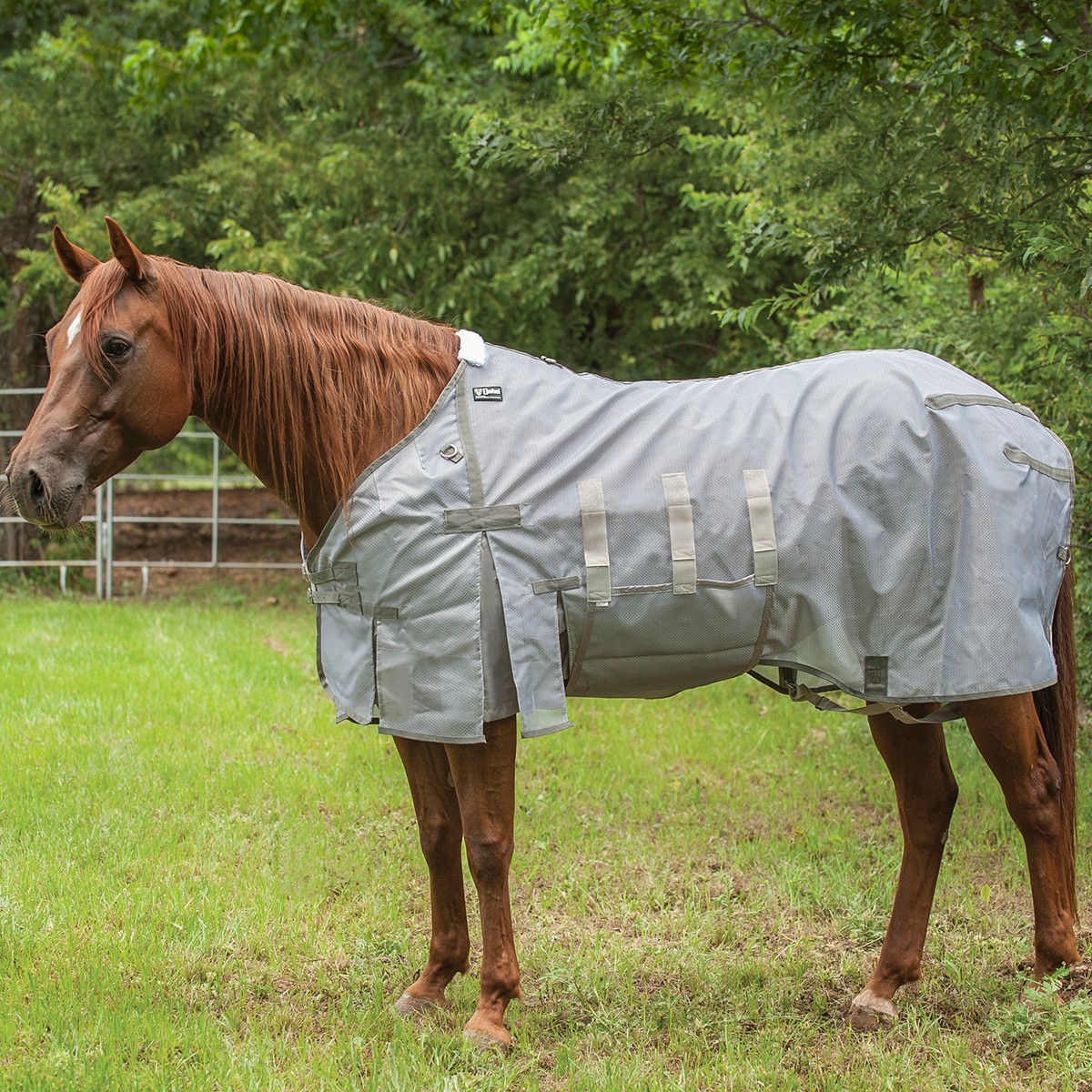 CASHEL LIGHT WEIGHT FLY SHEET W/ BELLY