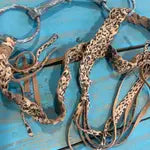 Braided Snaffle Bit Belt
