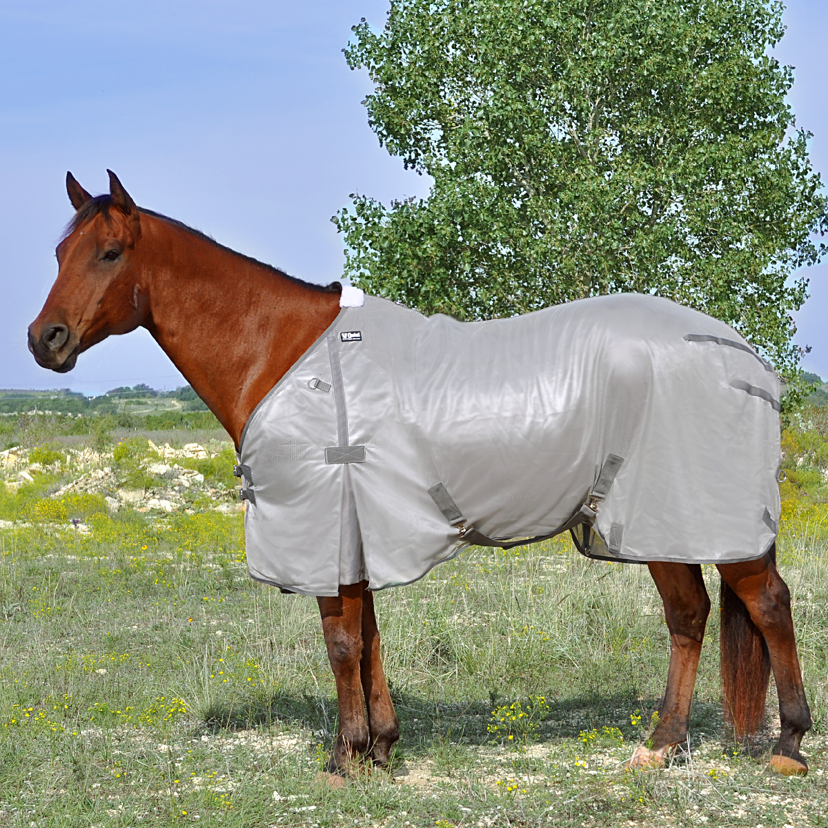 Cashel Fly Sheet