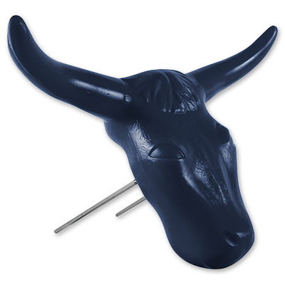 Steer Head