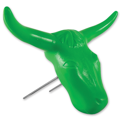 Steer Head