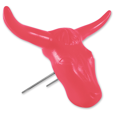 Steer Head
