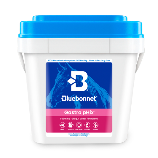 GASTRO PHIX BY BLUEBONNET - 11 LBS PAIL