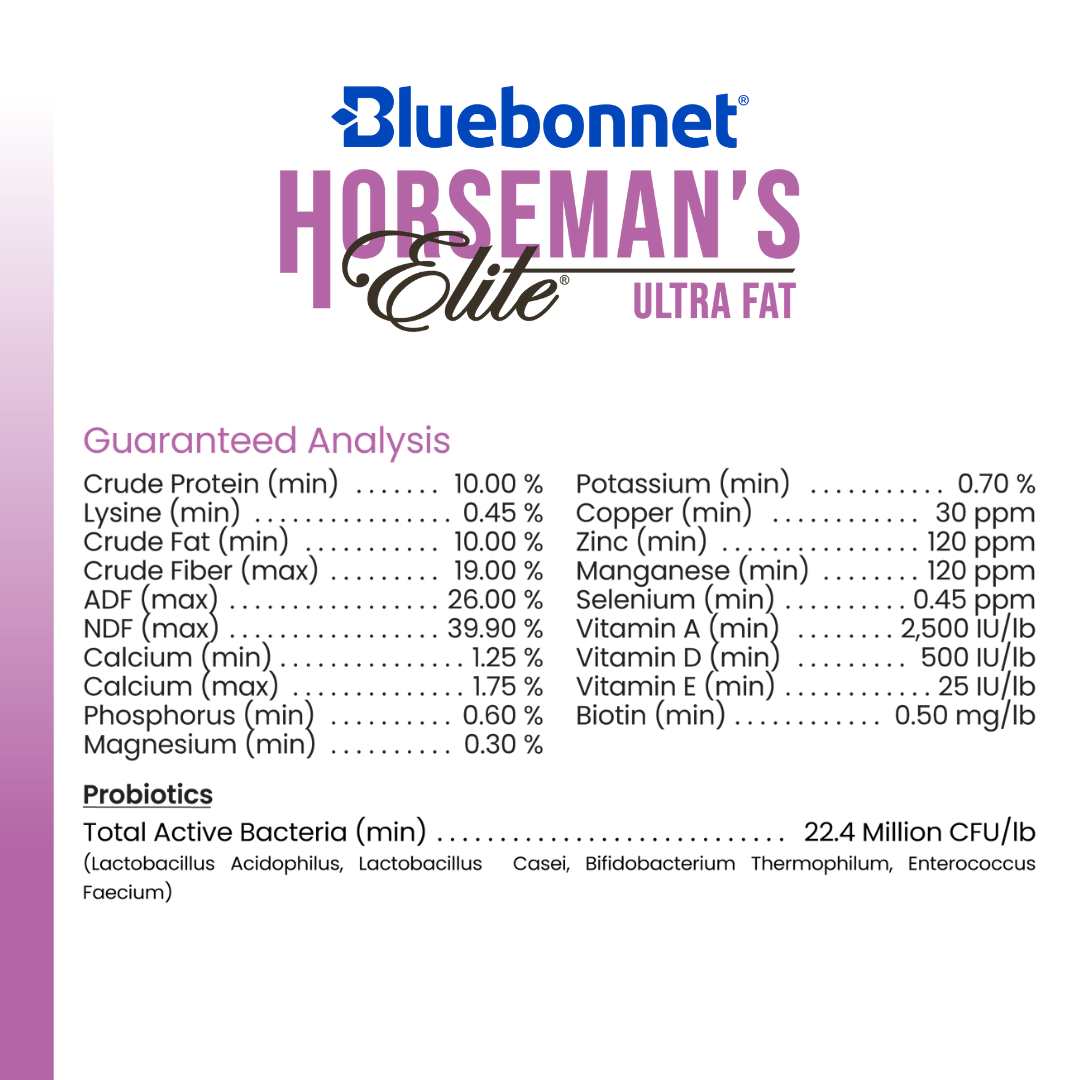 Bluebonnet Horsemans Elite Ultra Fat ~ IN STORE ONLY!