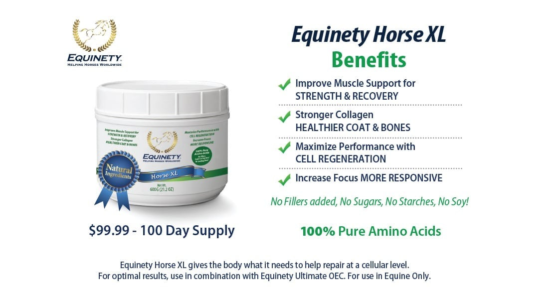 Equinety Horse XL 600G