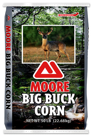 Big Buck 20 IN STORE ONLY