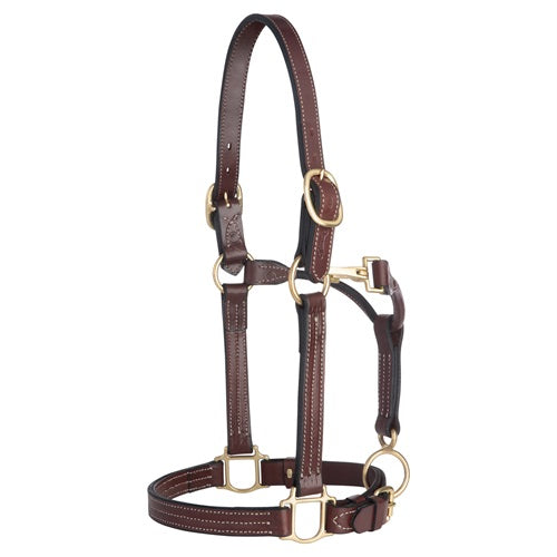 1" TRACK HALTER, CANYON ROSE
