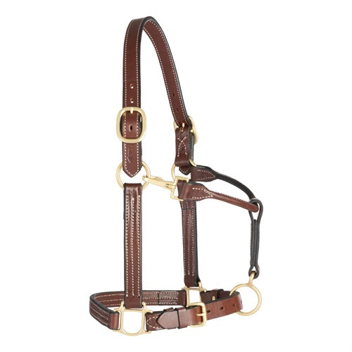 1" Leather Track Halter Mahogany