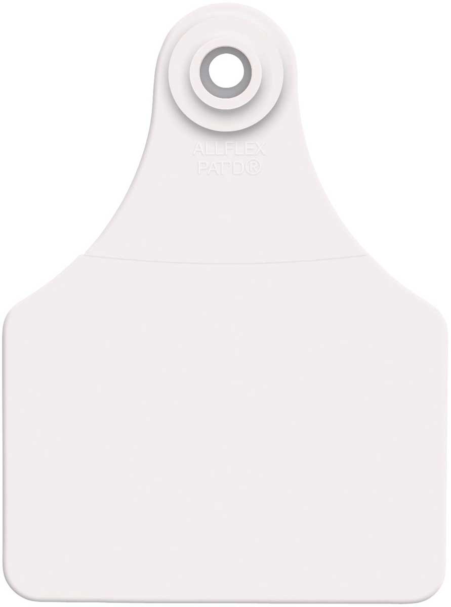 Allflex Large White Tag Blank 25 Count