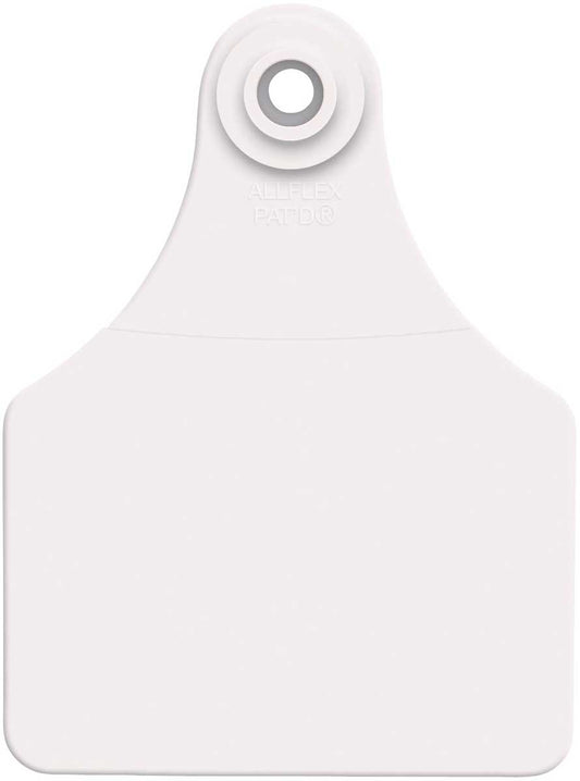 Allflex Large White Tag Blank 25 Count