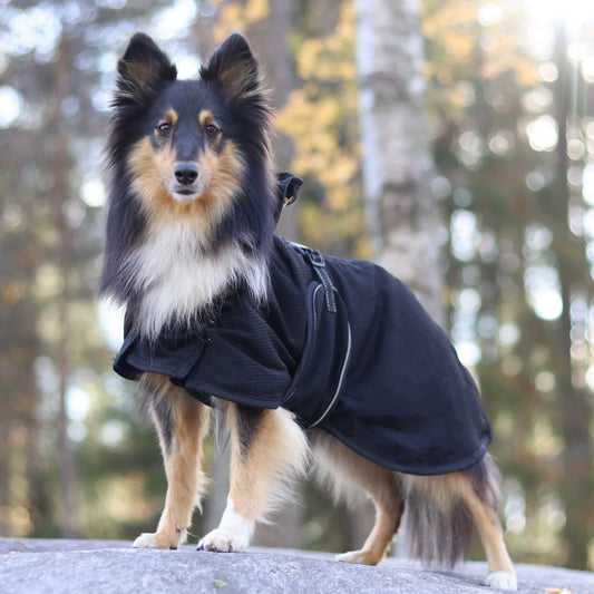 Back On Track Mesh Dog Blanket