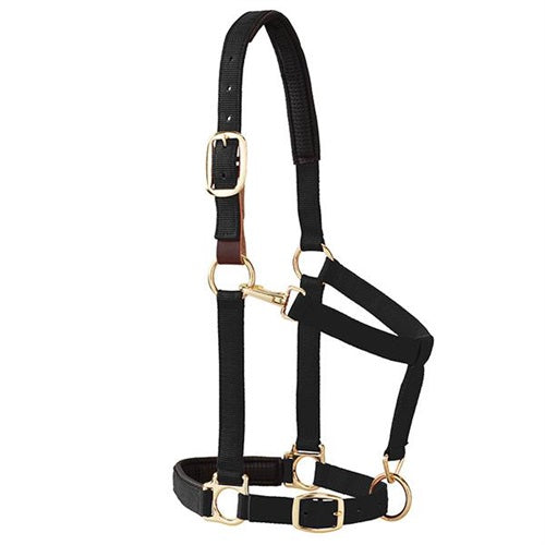 Breakaway Padded Adjustable Average Halter