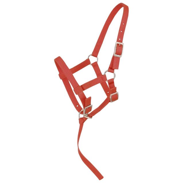 Tough1 Adjustable Suckling Halter