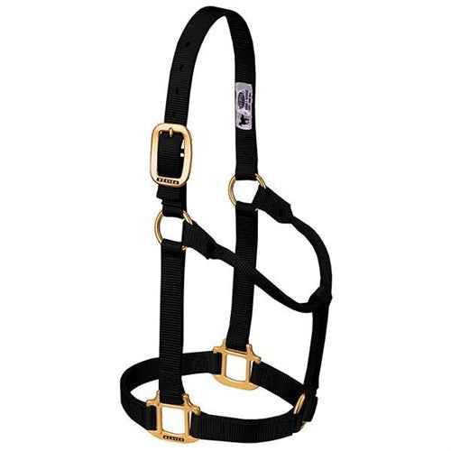 Original Non-Adjustable Halter , 3/4" Weanling/Pony