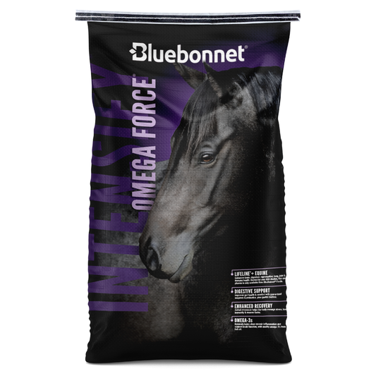 Bluebonnet Intensify Omega Force ~ IN STORE ONLY!