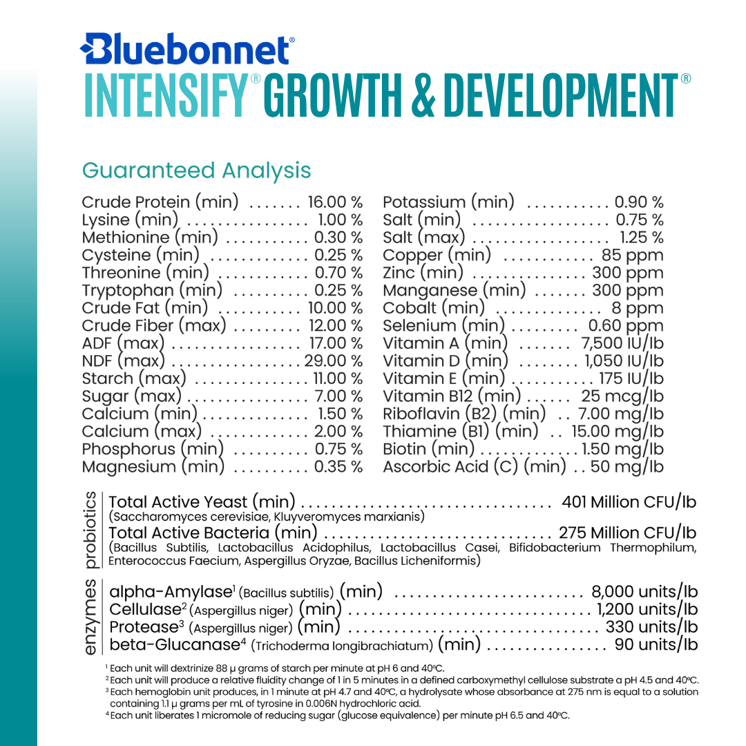BLUEBONNET GROWTH & DEVELOPMENT ~ IN STORE ONLY!