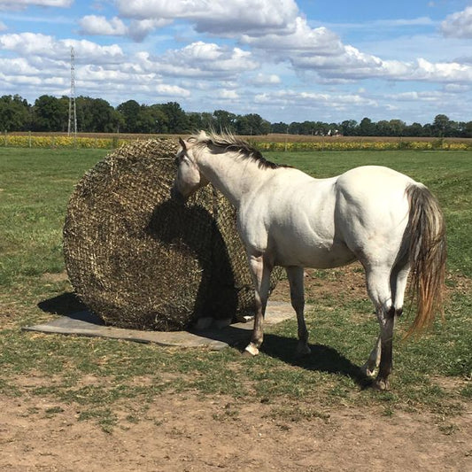 TOUGH1 6 X 6 ROUND BALE HAY NET - 1 1/2"