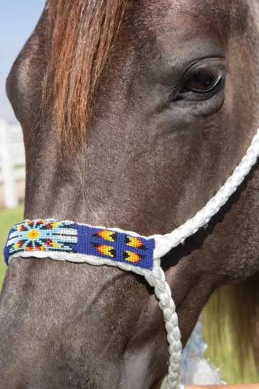 COWBOY BRAIDED HALTER WHI/ROY BEADED NOSEBAND