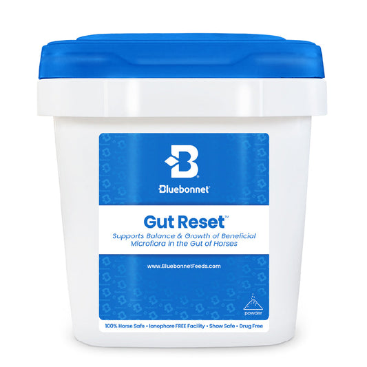 Gut Reset By Bluebonnet - 5lb Bucket