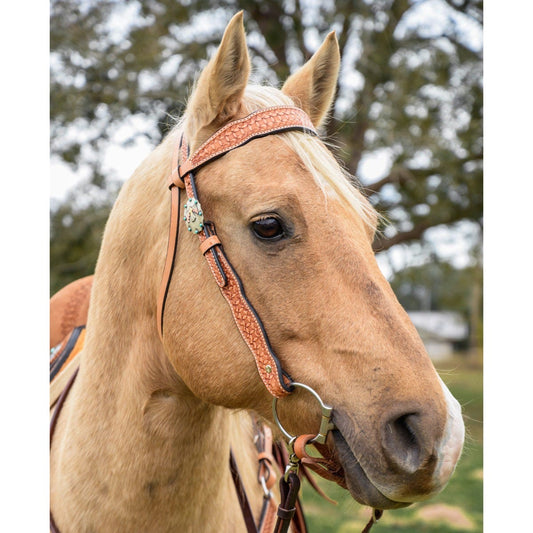 WINDSOR HEADSTALL W/ 5/8” SHAPED BROWBAND