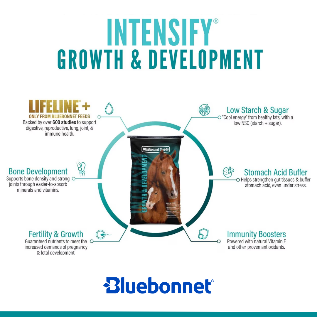 BLUEBONNET GROWTH & DEVELOPMENT ~ IN STORE ONLY!