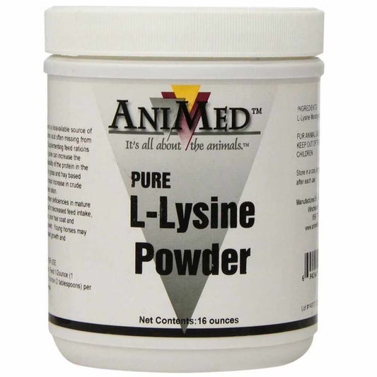 L-Lysine Pure