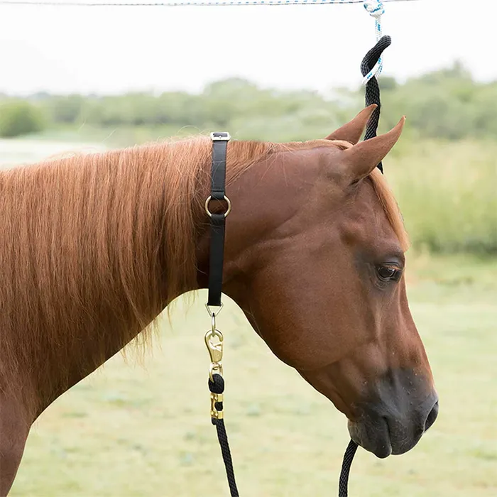 Neck Collar 1"