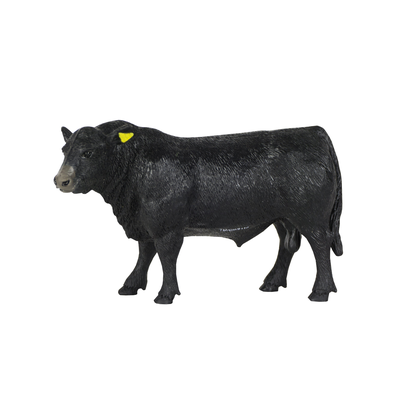 Toy Angus Bull