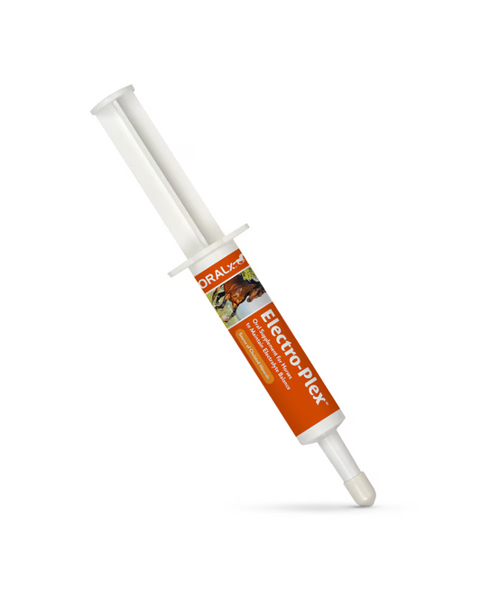 Electro-Plex Supplement for Horses