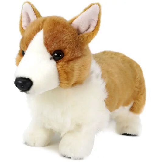 Carlotta the Corgi |