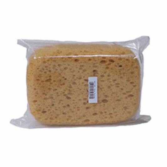 BODY SPONGE