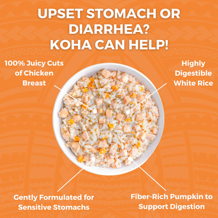 Bland Diet for Dogs: Limited Ingredient Wet Bland Diet Chicken & White Rice Recipe for Dogs