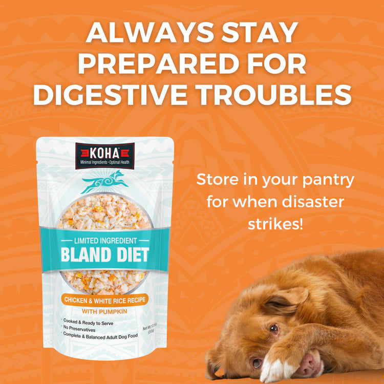 Bland Diet for Dogs: Limited Ingredient Wet Bland Diet Chicken & White Rice Recipe for Dogs