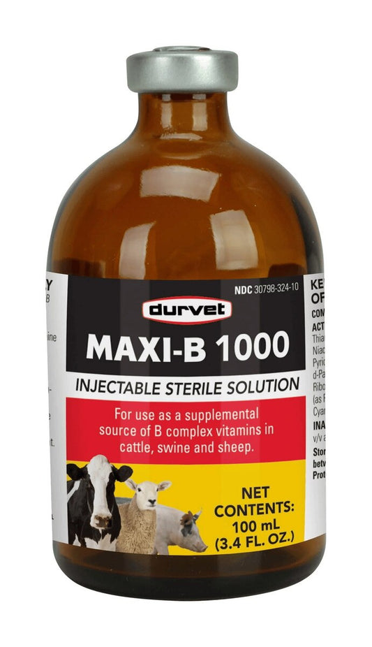 Maxi-B 1000 100ml