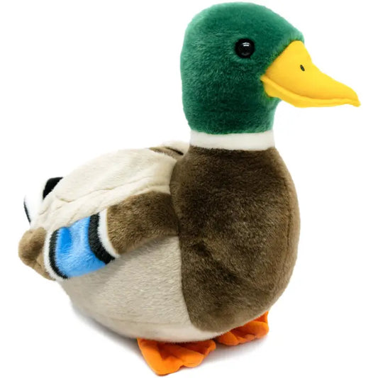 Dakota the Duck