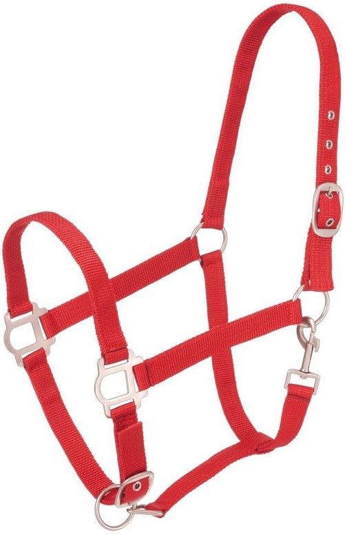 Tough 1 Nylon Pony Halter with Satin Hardware
