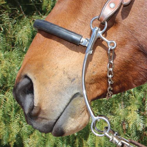 BRITTANY POZZI - HACKAMORE SHORT SHANK