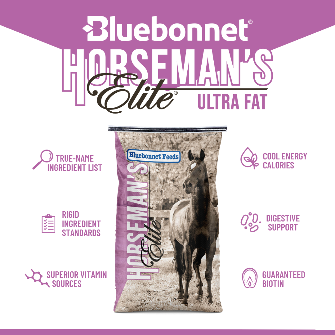 Bluebonnet Horsemans Elite Ultra Fat ~ IN STORE ONLY!