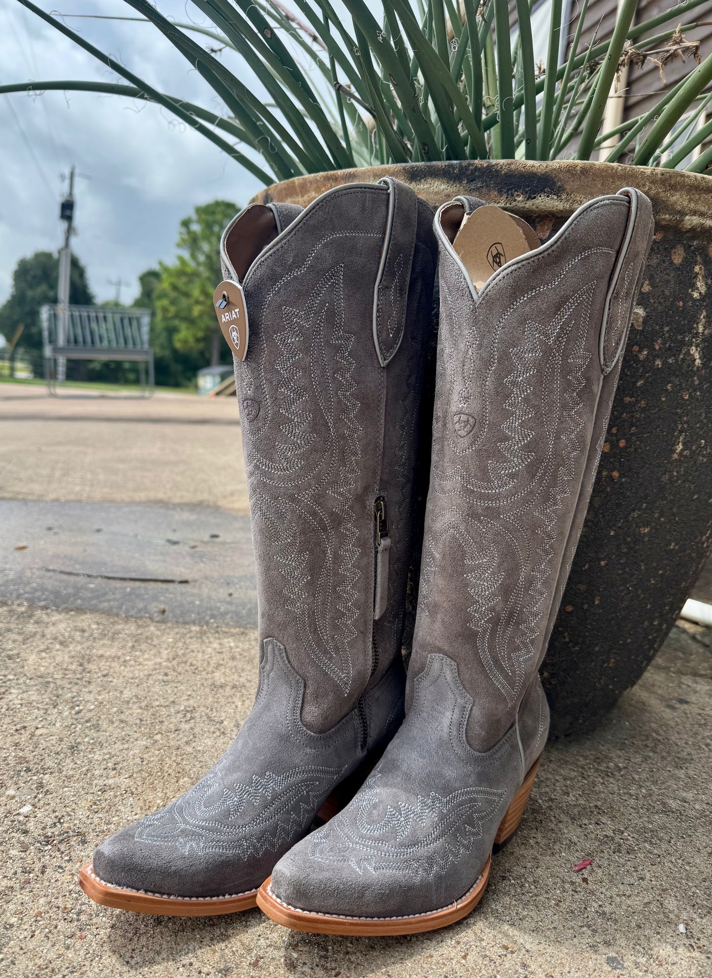 Casanova X Toe Western Boot Ash Gray Suede