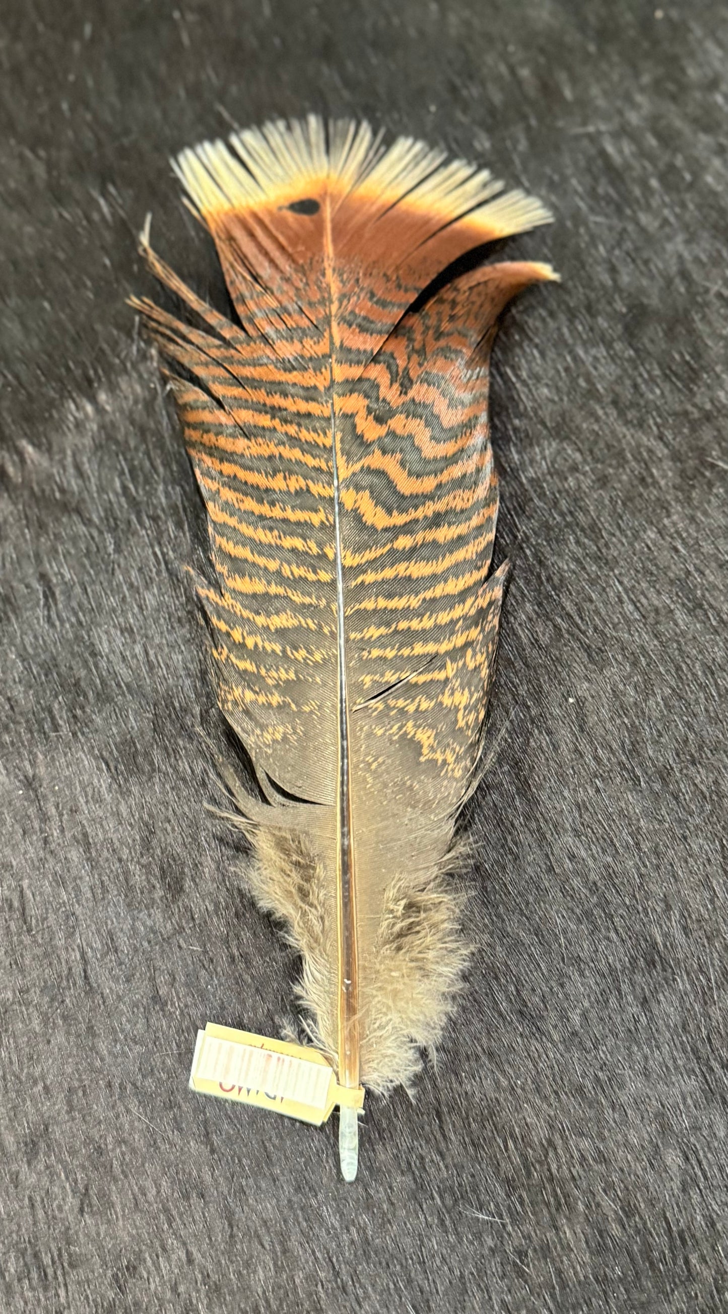 Small Turkey Hat Feather