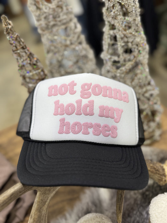 Not Gonna Hold My Horses Trucker