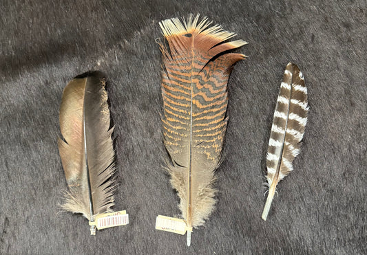 Small Turkey Hat Feather