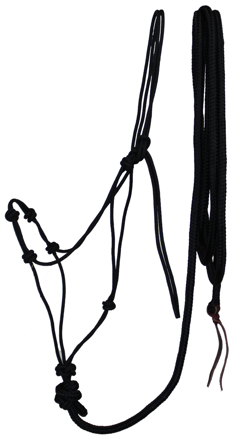 ROPE TRAINING HALTER – Adams Tack