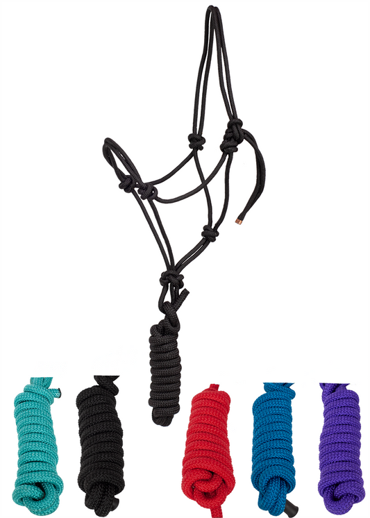 Rope Halter + Lead