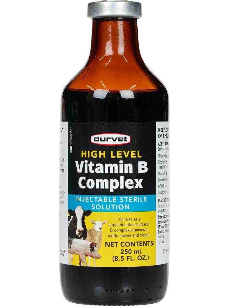 High Level Vitamin B Complex 250ml