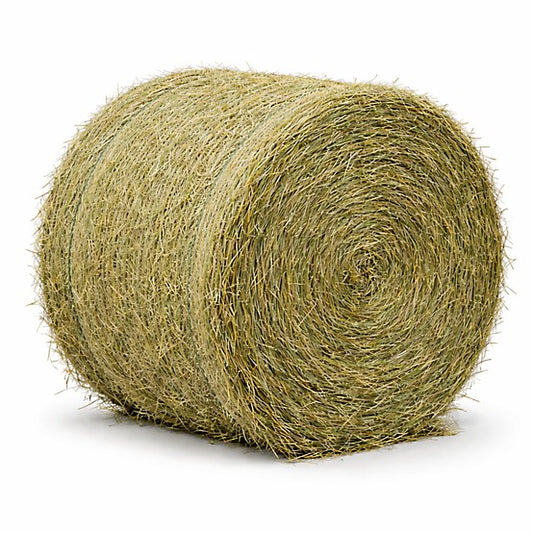 Cow Round Bale