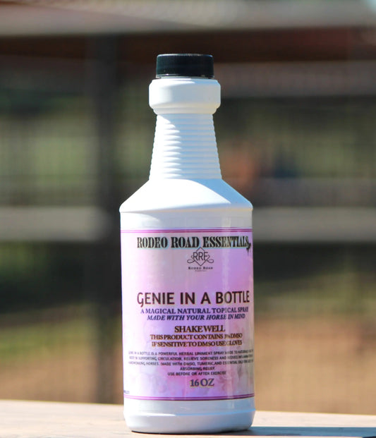 Genie In A Bottle