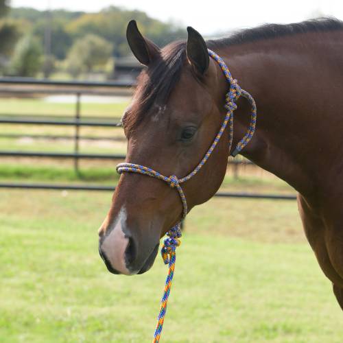 Equisential Rope Halter